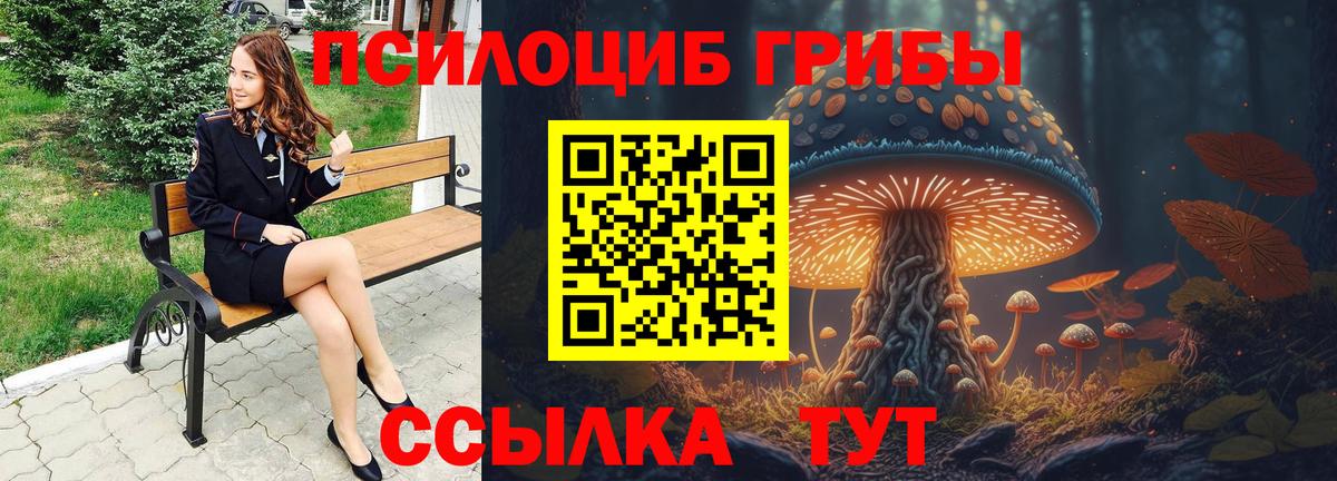 Галлюциногенные грибы прущие грибы Качканар
